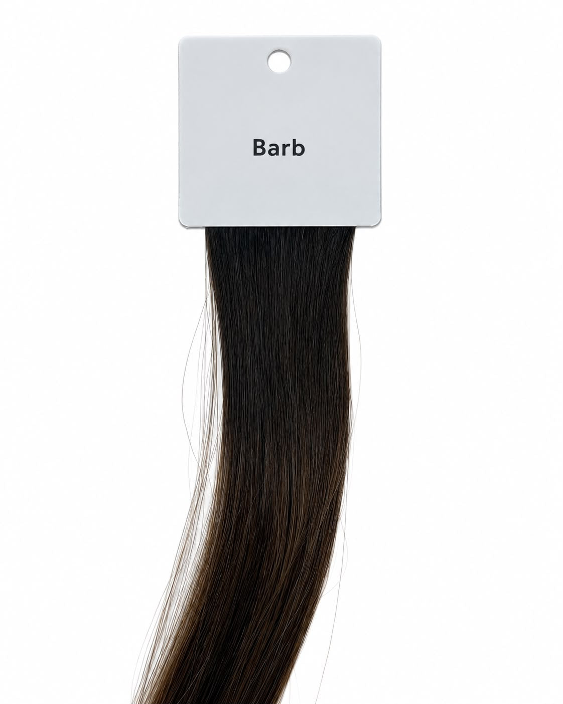 Barb