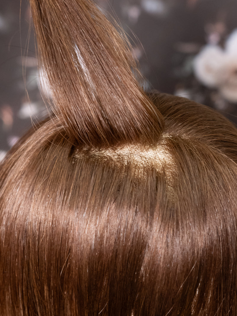 Close-up of brown hair with a blurred background